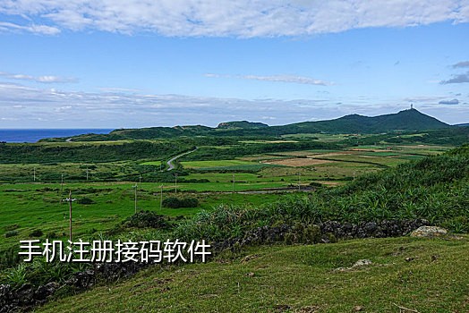 星光接码短信验证