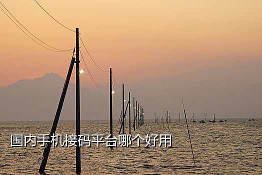 信和接码能发短信吗