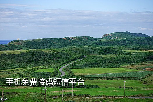 香港短信接码api