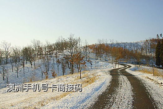 为啥手机短信接不到验证码