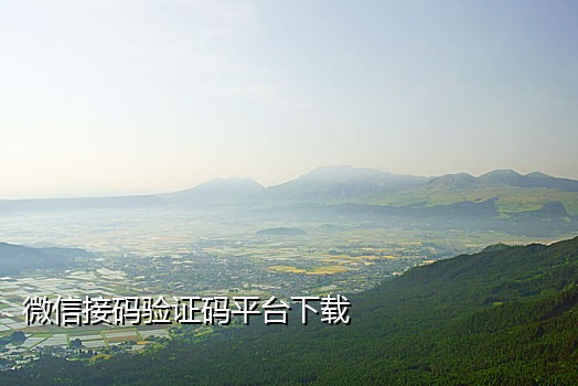 微信平台接码