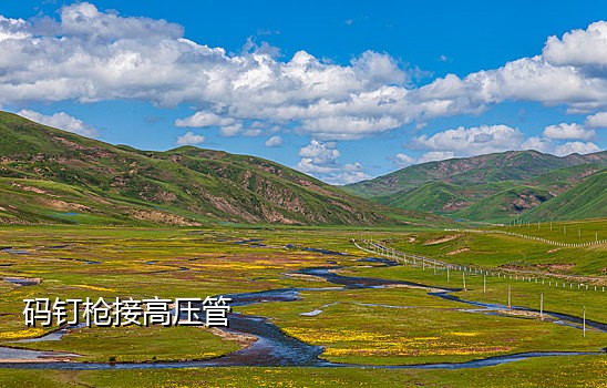 淘宝新号接码渠道