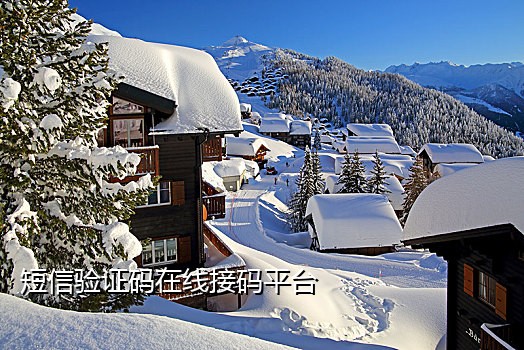 爱信接码手机app