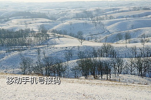 淘宝 接码