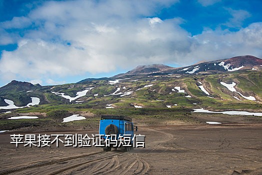 探探号接码平台