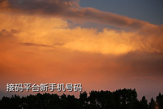 爱信接码平台苹果