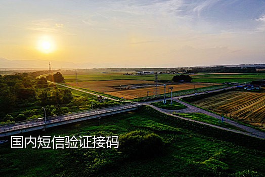 台湾手机号免费接码