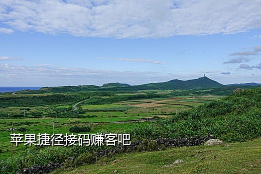 随即手机接码