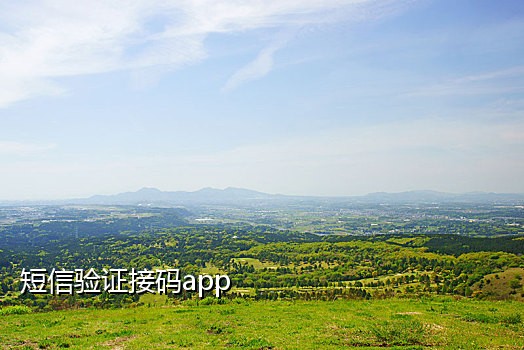 手机验证码短信接码平台