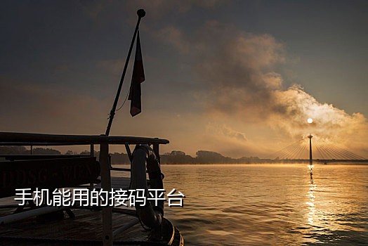 手机卡商接码平台