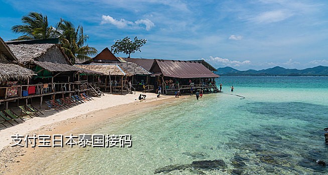 手机接码是啥意思