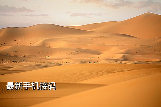 手机接码软件平台8361