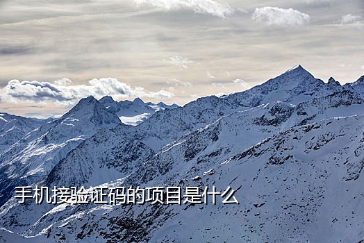手机接码平台是什么意思啊