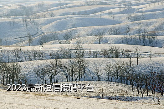 手机接码平台什么意思