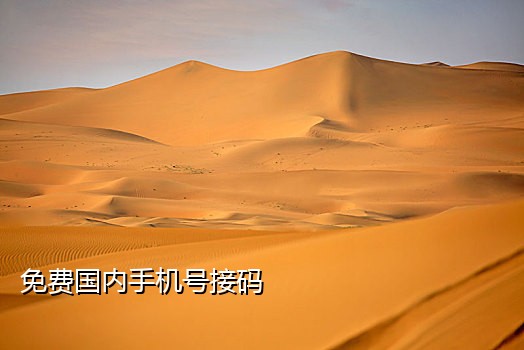 阿里巴巴接码渠道是什么