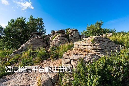 手机短信验证接码网站