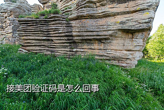 手机短信接码怎么用