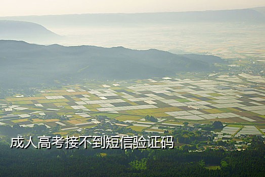 使用接码平台注册微信