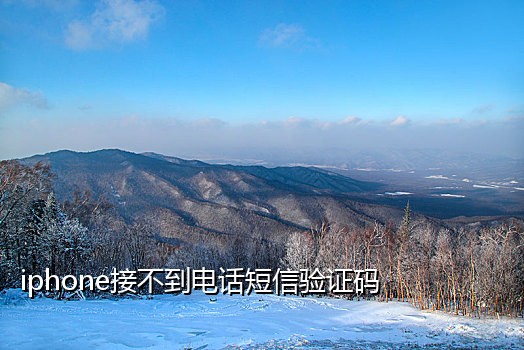 七星接码短信下载软件