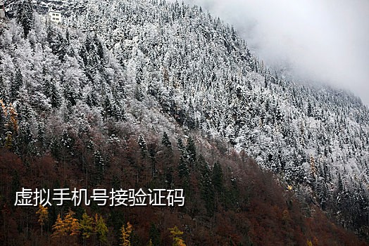 苹果版接码软件下载