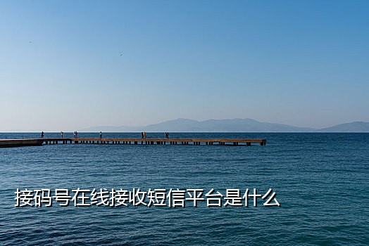 平台接码注册qq