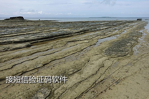 拼多多接码换手机