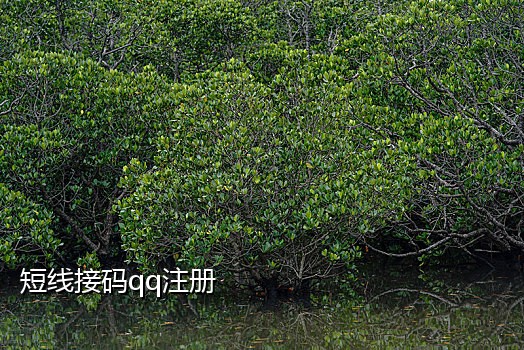 陌陌美国接码号
