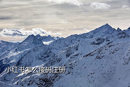 陌陌卡通号接码登录