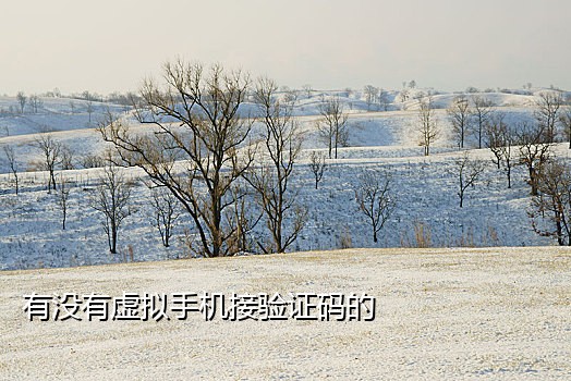 陌陌号接码平台