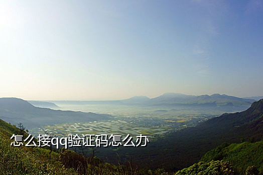 免费接发短信验证码