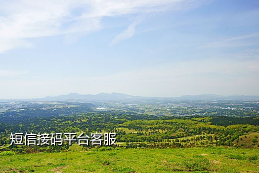 美国手机号接码网站