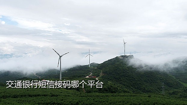 美国电话接短信验证码