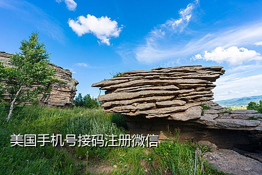 留学原先的手机卡接验证码