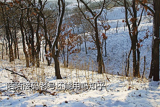 qq邮箱接不到知乎验证码