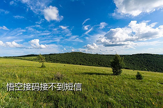 快手实卡接码平台