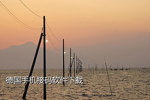 快手接码教程
