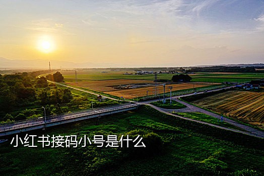 卡商接码注册抖音是怎么操作的
