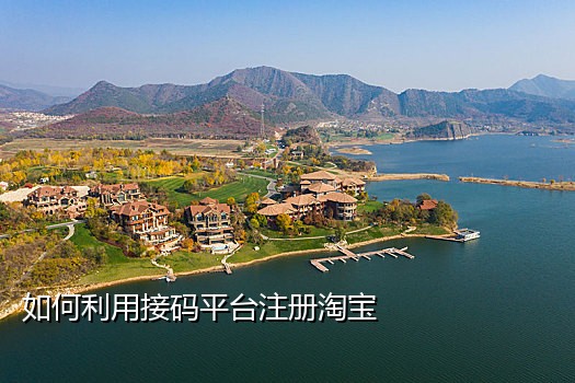 京东接码注册项目