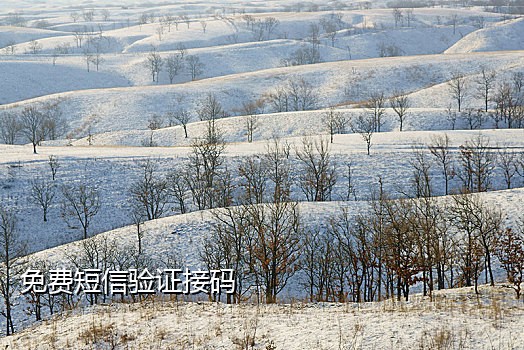 接微信注册扫码辅助
