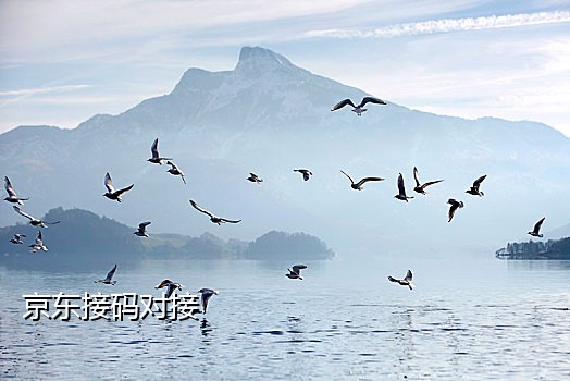 接淘宝任务二维码