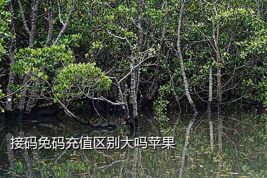 接码香港手机号