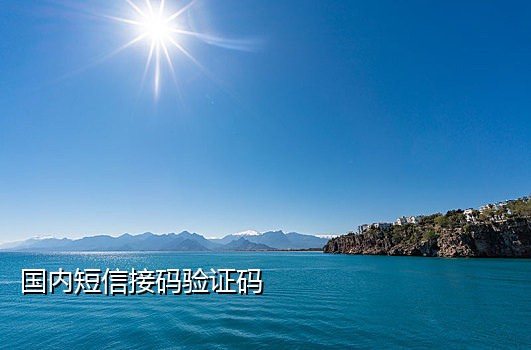 接码实名手机卡平台
