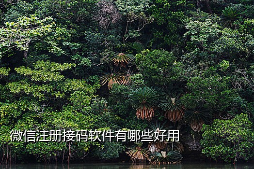 接码平台有手机号就可以吗