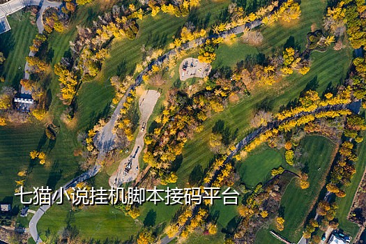 接码平台都是用过的手机号