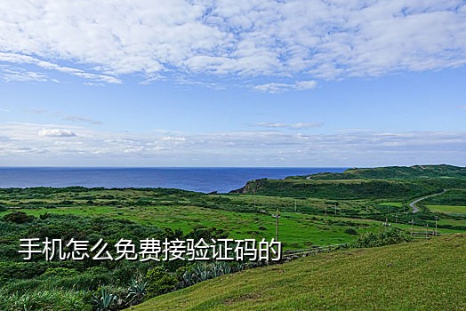 接码短信平台违法吗