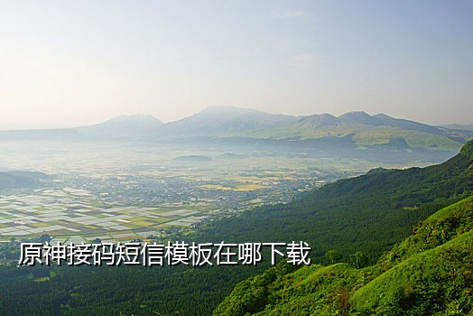 接码的手机号哪里来