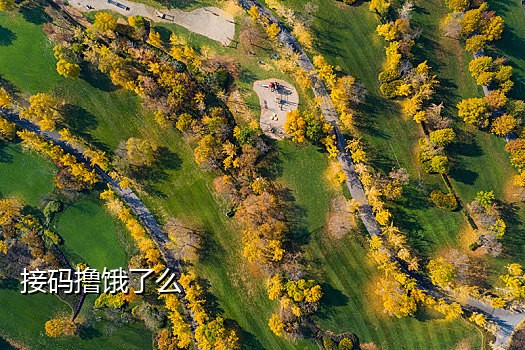 接码的抖音号能用吗怎么弄