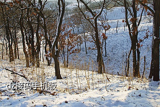 puk码手机接不到短信怎么办