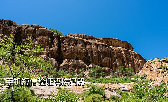 接码qq小号平台批发