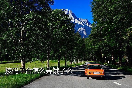 接短信验证码网站免费